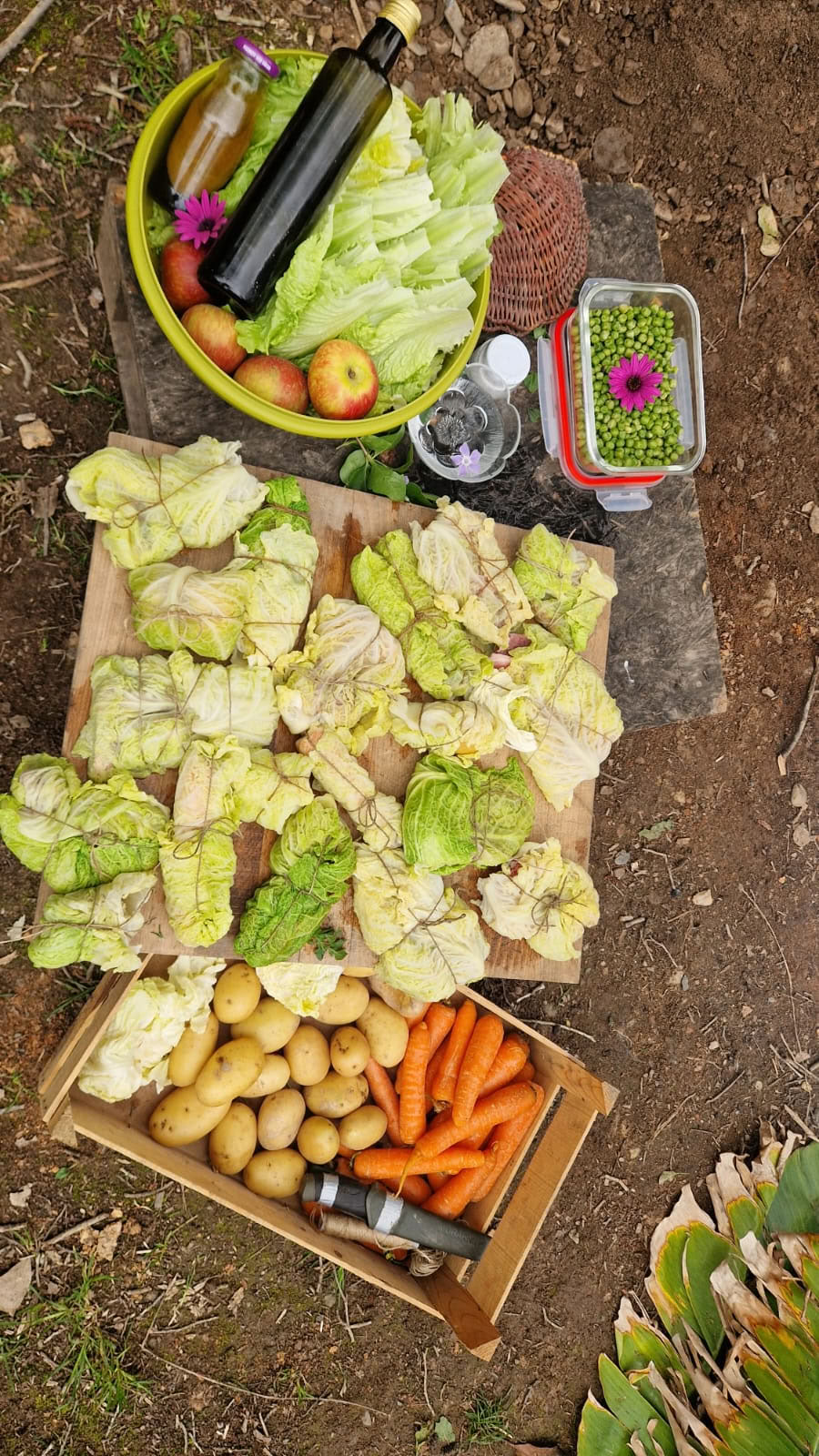 Buiten koken