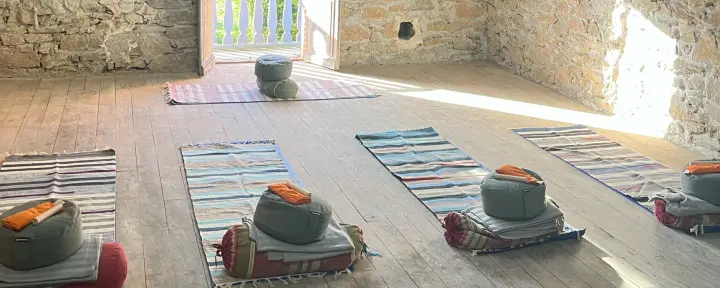 Yoga-, mindfulness- en natuurverbindingworkshops