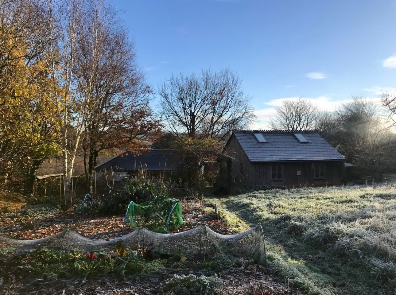 Retraites, dagen en cursussen – Herfstretraitedagen bij The Yoga House