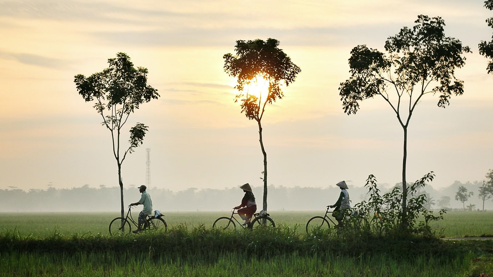 Verrijkende yogaretraite en wandelen in Vietnam 2026