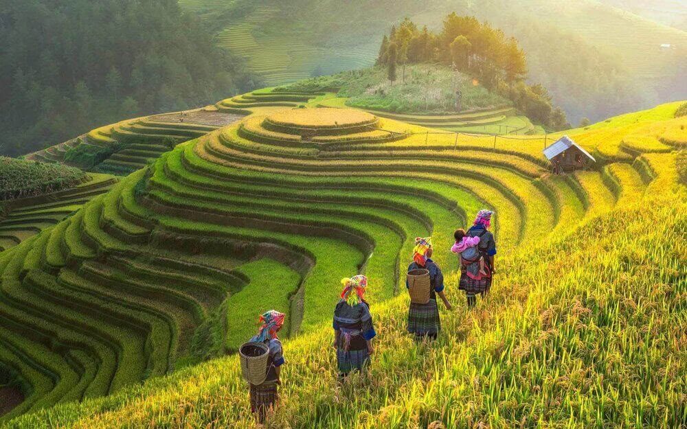 Verrijkende yogaretraite en wandelen in Vietnam 2026