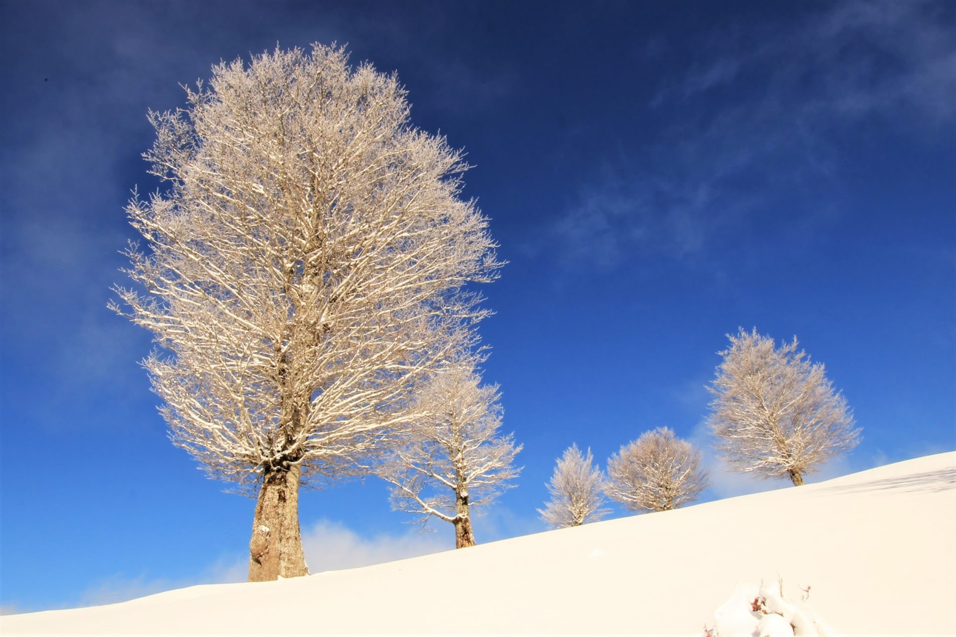 7-daagse wintervakantie vol activiteiten in Montenegro