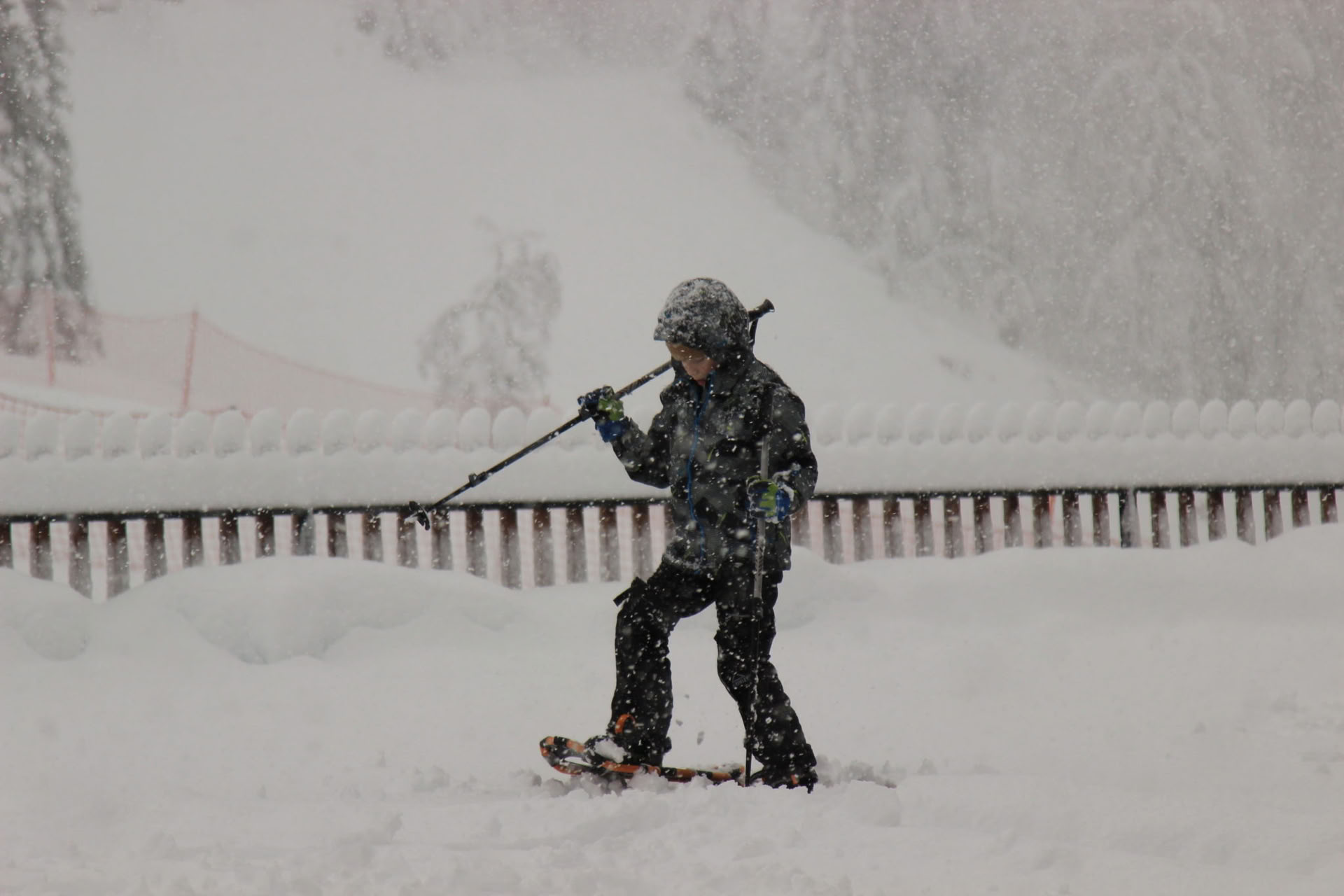 7-daagse wintervakantie vol activiteiten in Montenegro