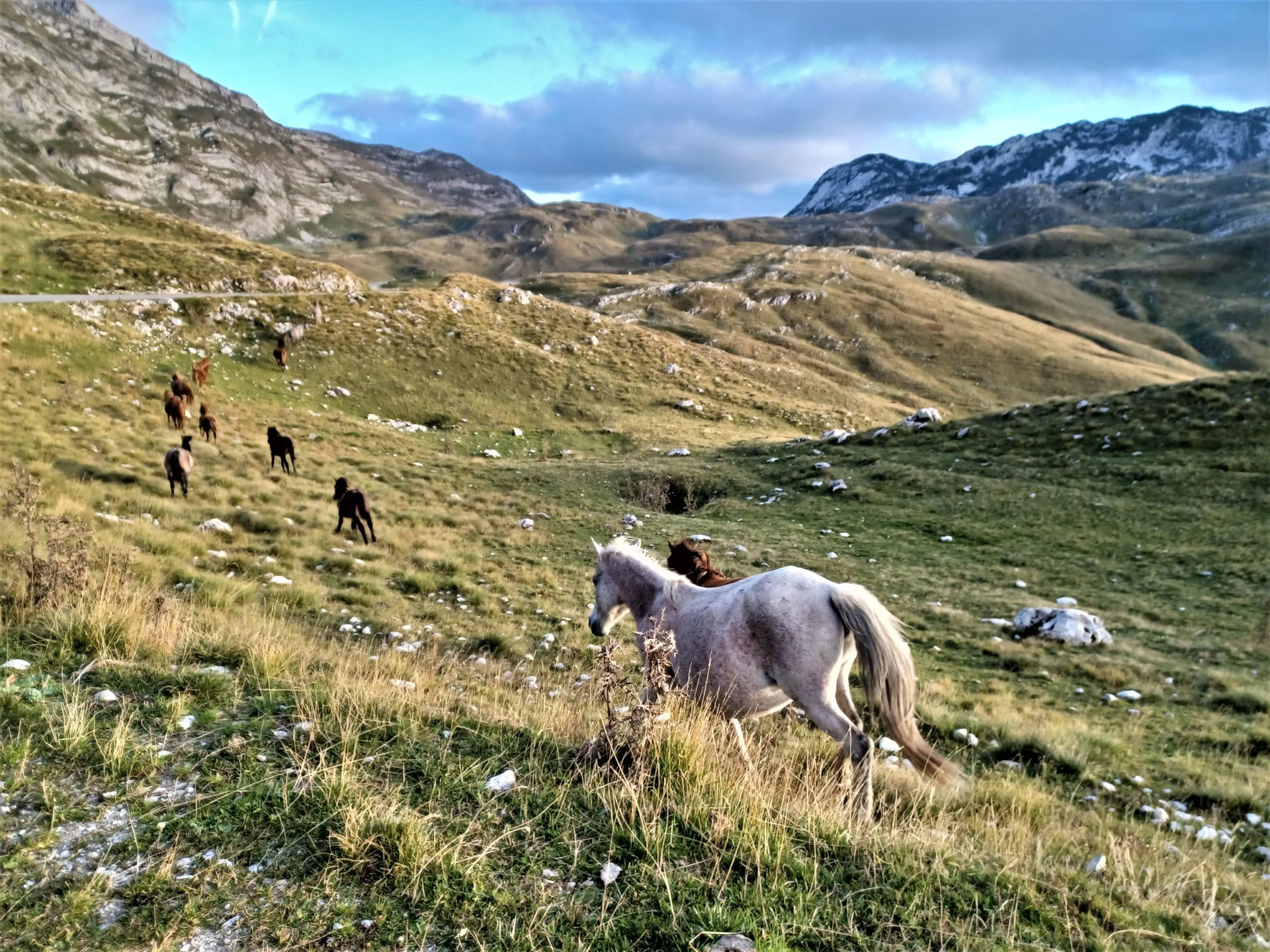 7-daagse wandelvakantie in de bergen in Montenegro