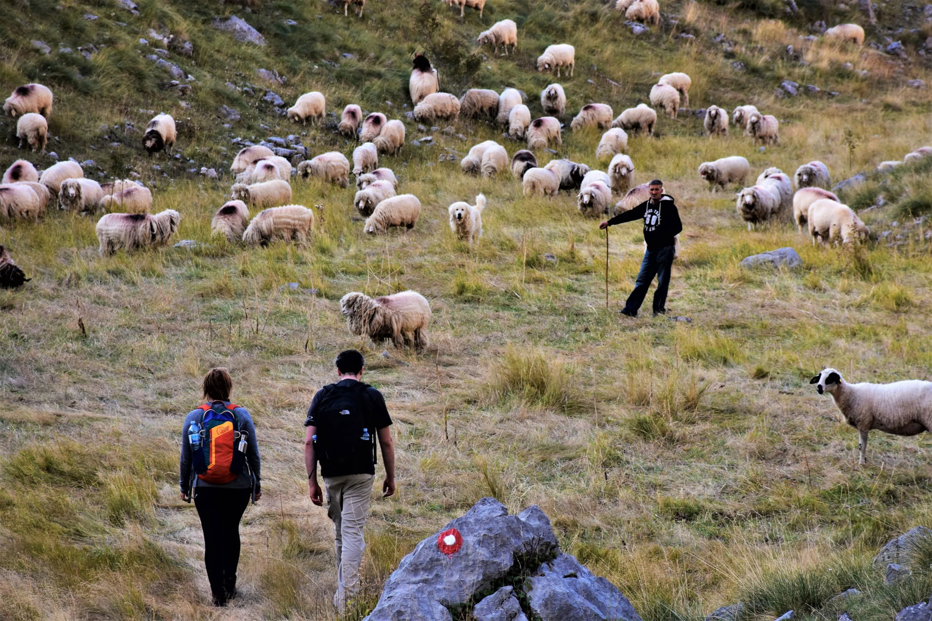 7-daagse wandelvakantie in de bergen in Montenegro