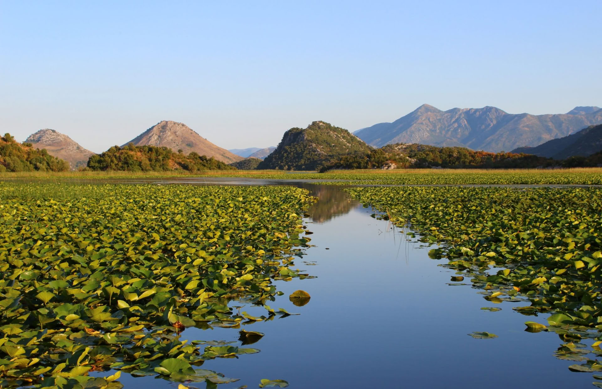 7-daagse yoga vakantie met ademhaling in de natuur aan het Skadarmeer, Montenegro