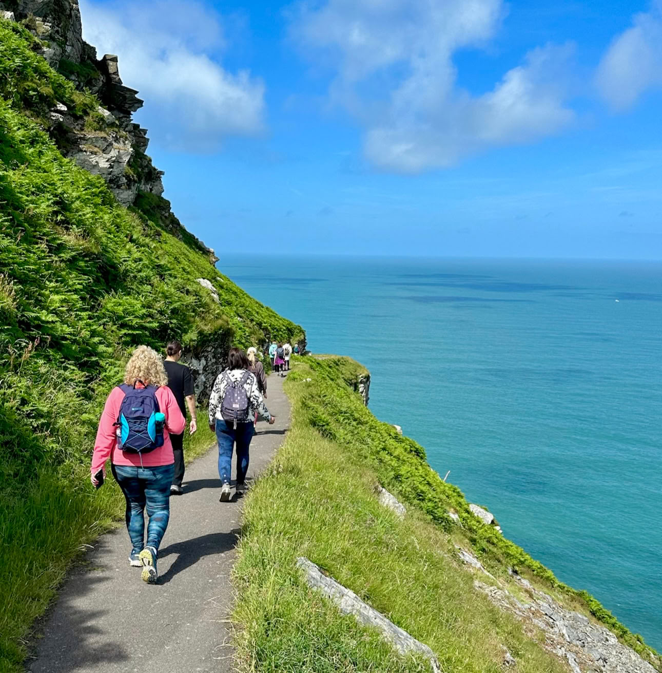 Yoga-retreat in de boomtoppen van Devon