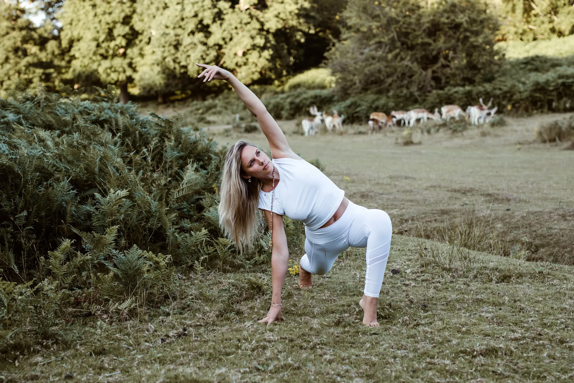 Vinyasa Flow + Yin Yoga (Alle niveaus)