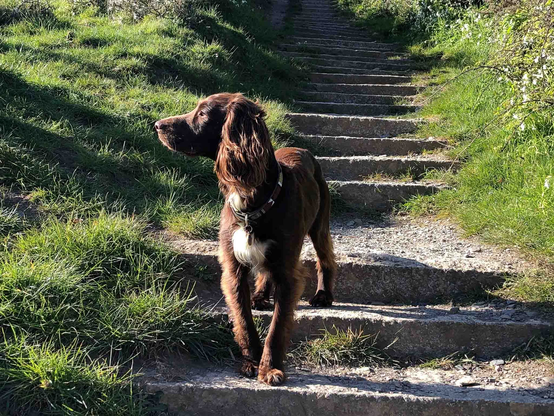 Yoga & Wandelen in Frankrijk