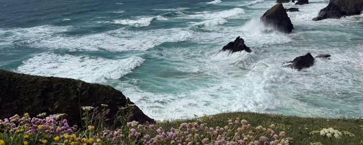 Begeleide wandeling Constantine Bay