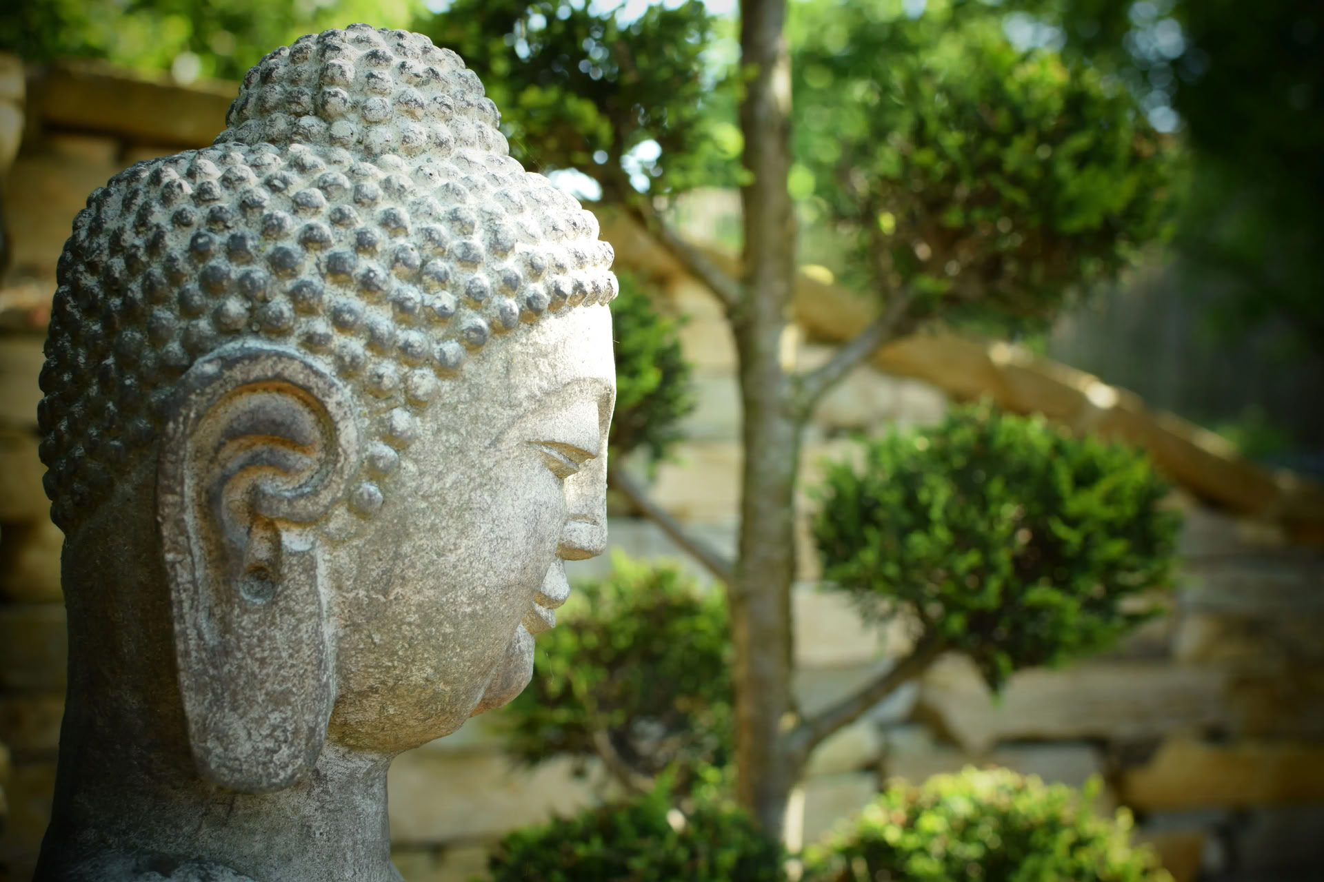 Vipassana (inzichtmeditatie)