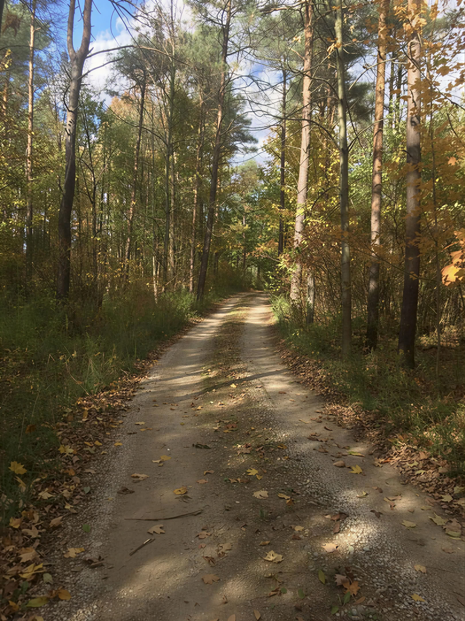 Yoga in de natuur op eigen houtje