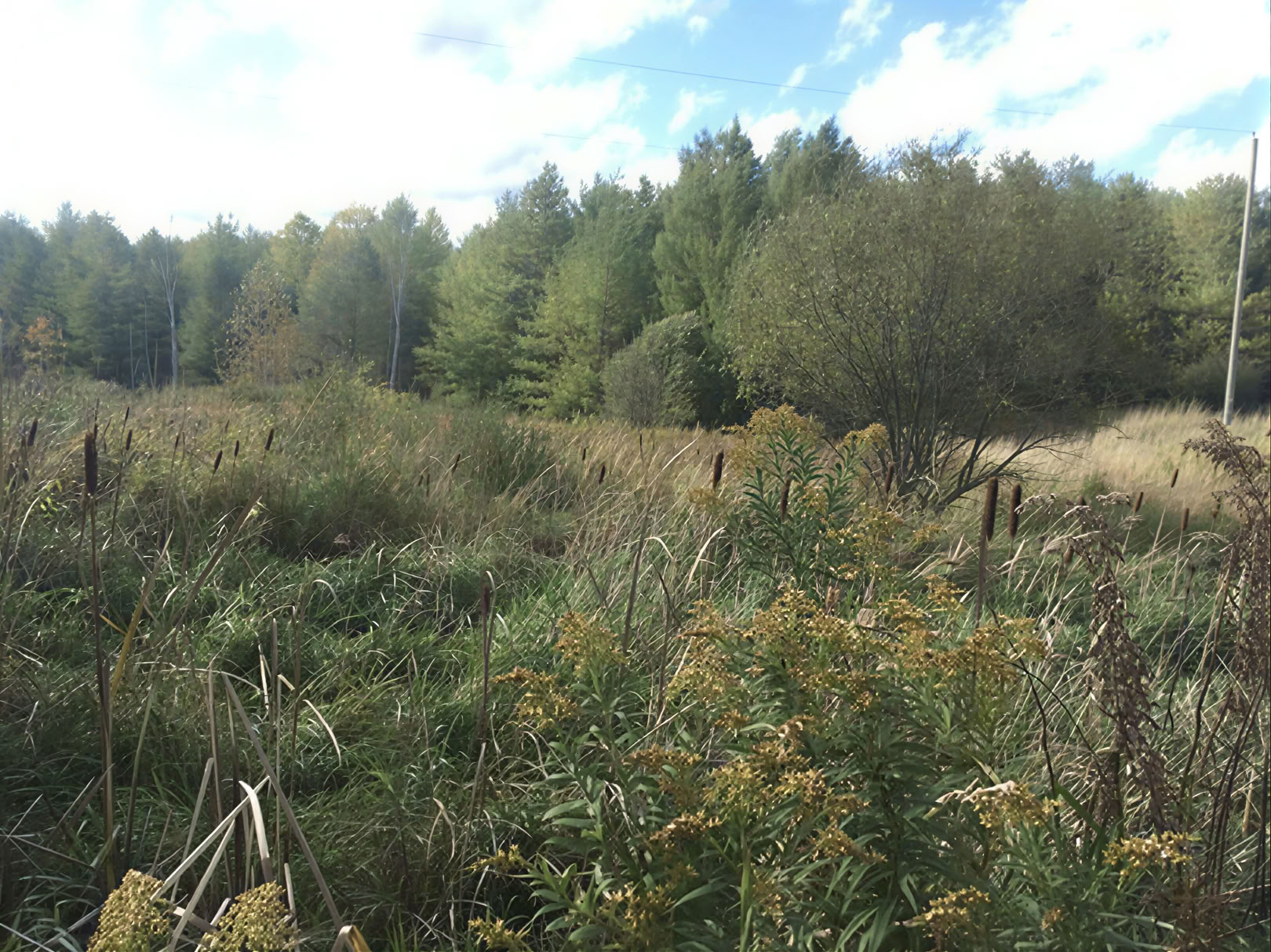 Kanovaren