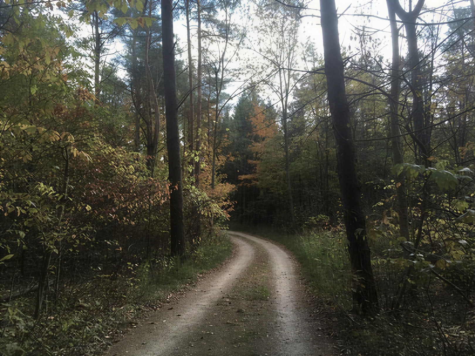 Plantenmedicijnretreat