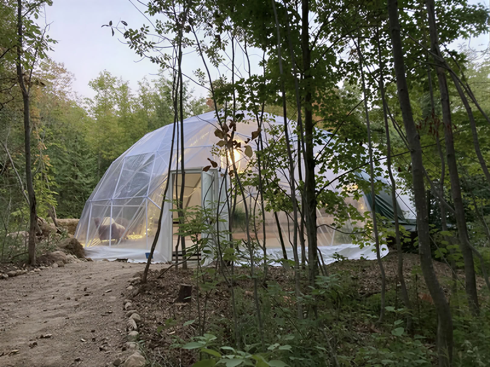 Plantenmedicijnretreat