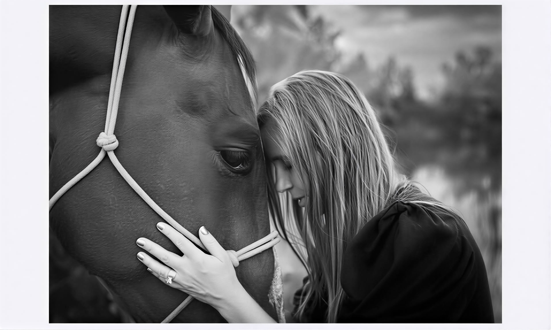 Hart en Paarden voor Vrouwen