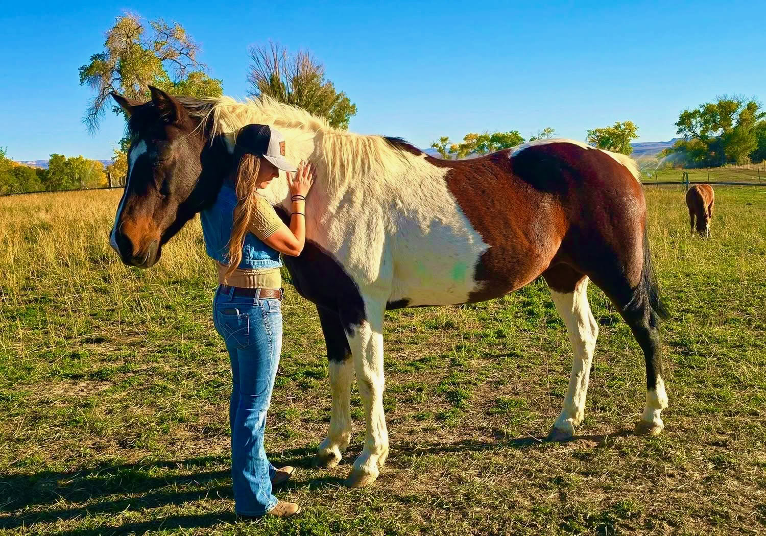Hart en Paarden voor Vrouwen