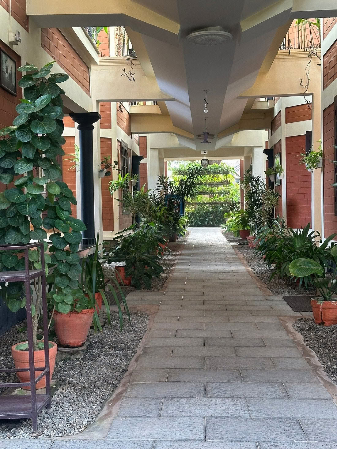 Tussen Oceaan en Stilte: Yoga- en Ayurveda-retraite in het hart van Kerala, India