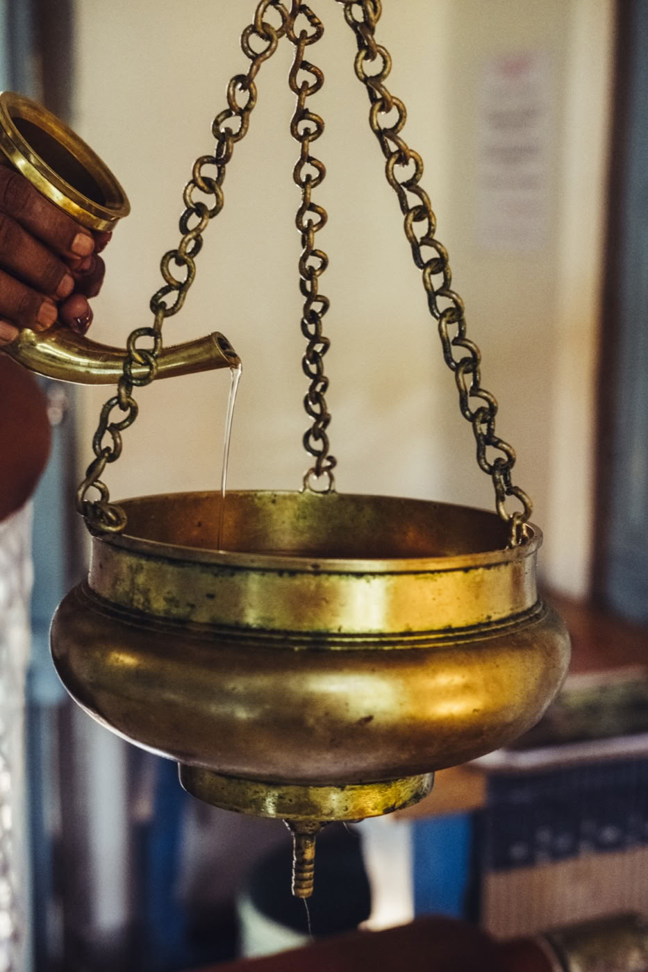 De Ayurveda-wellnessretraite