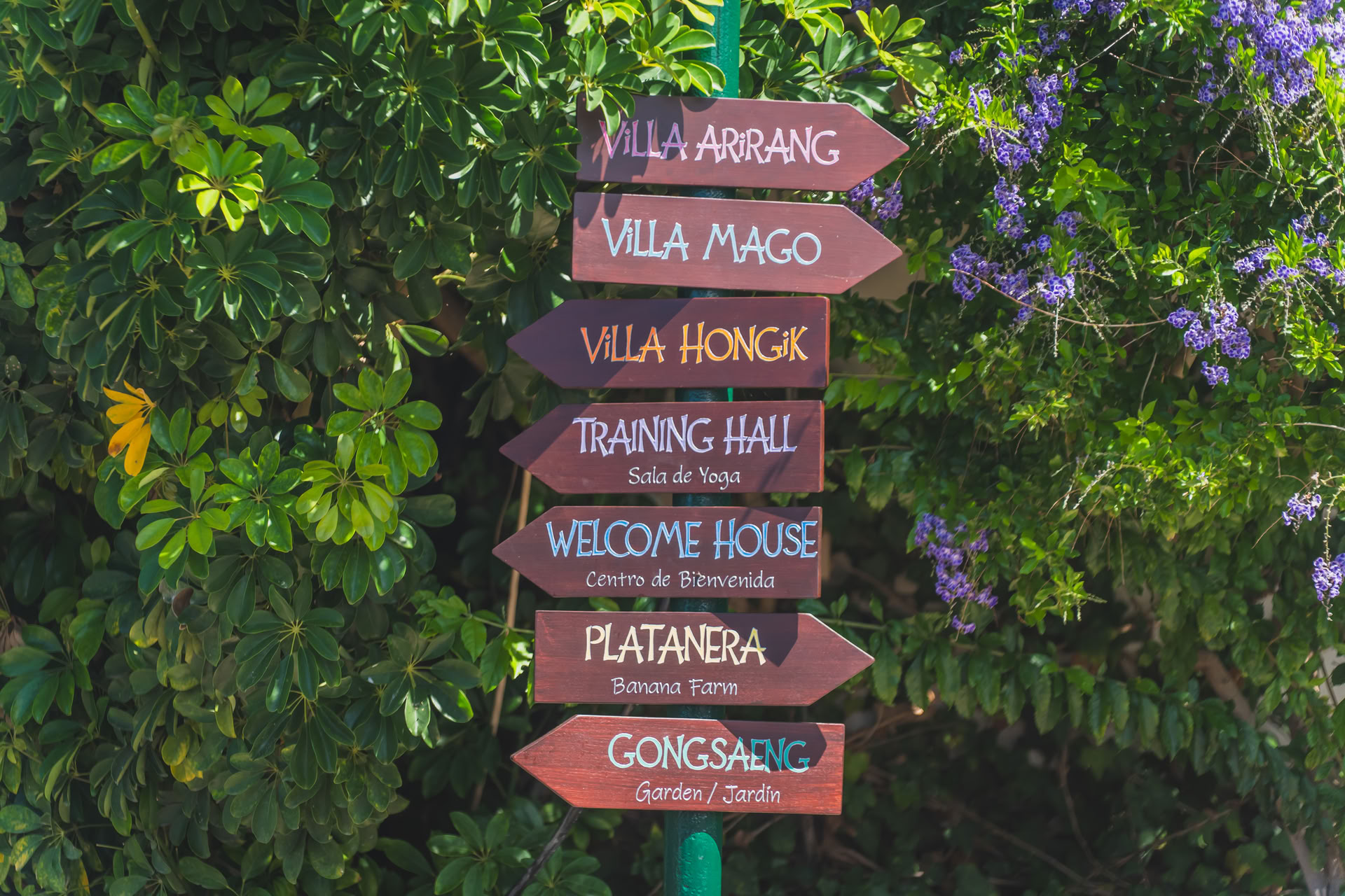 Liefdevolle Zelfzorg Wellnessretreat – 23-28 juni 2026