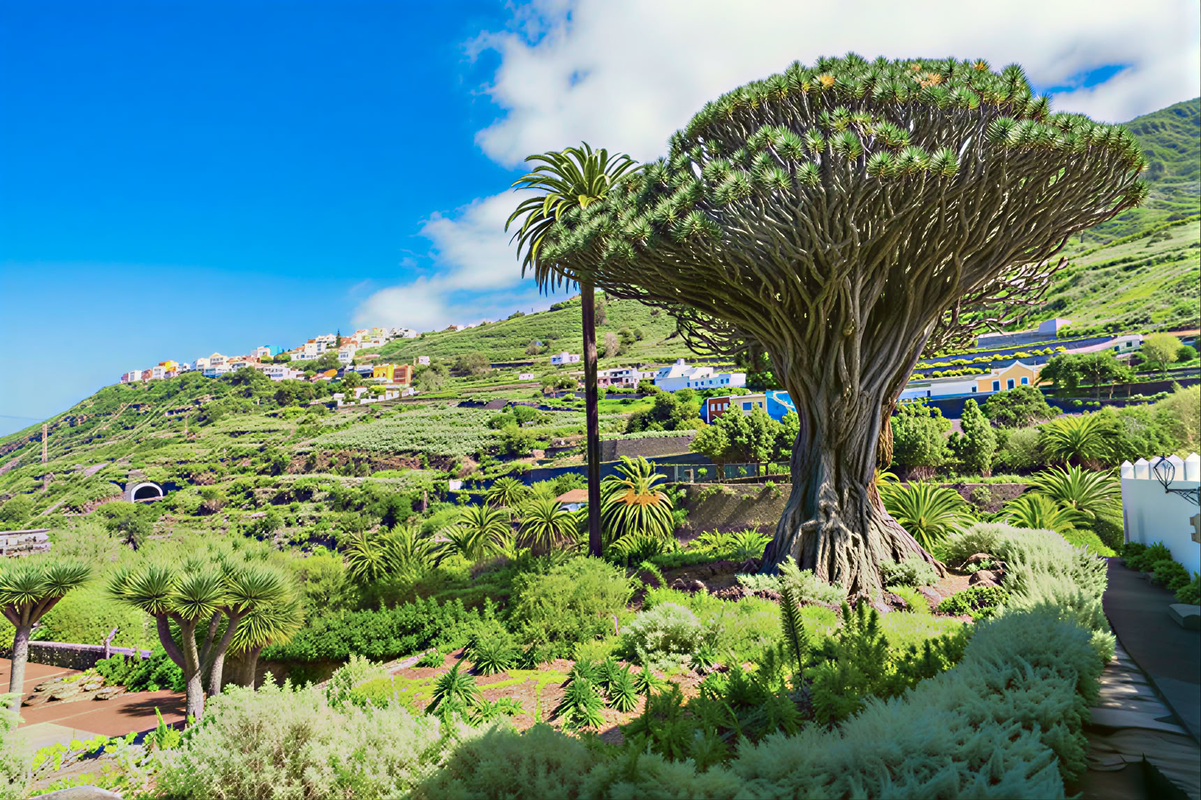 Meditatietour op Tenerife