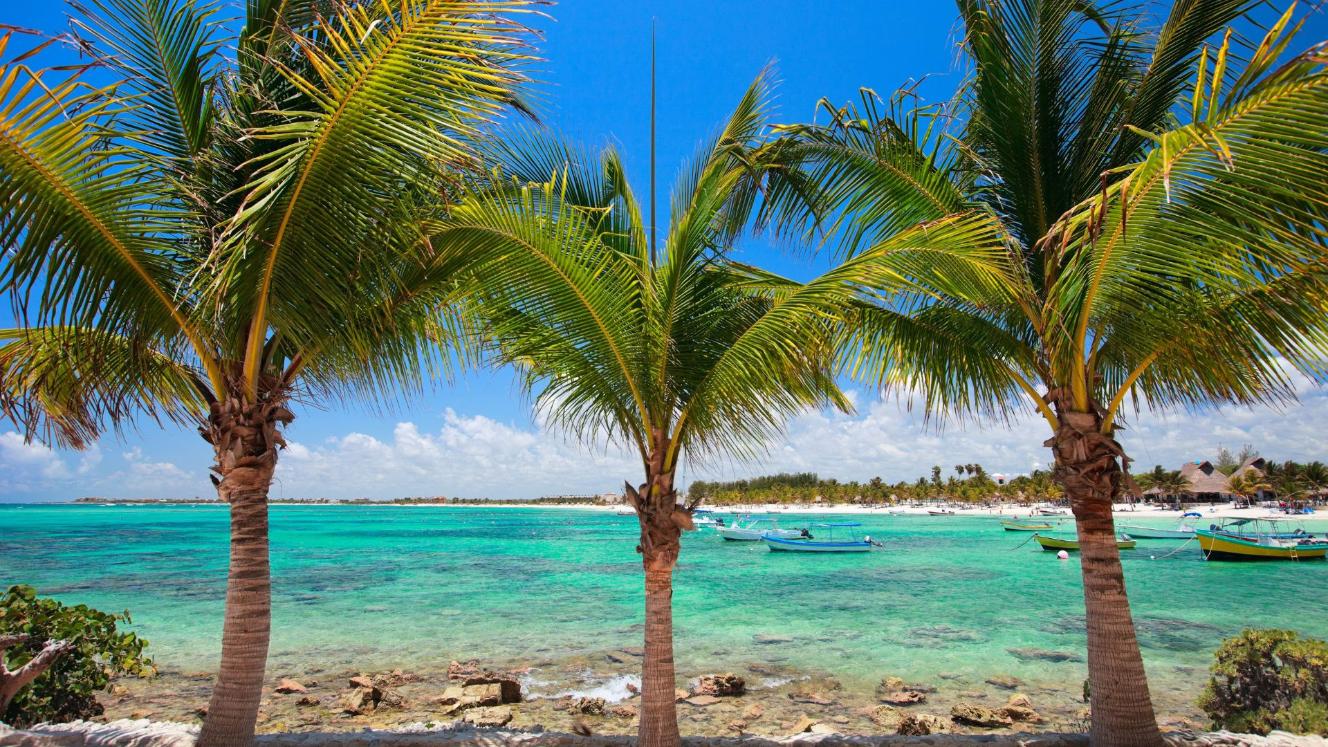 Akumal Wellnessretreat: Suite met uitzicht op de oceaan