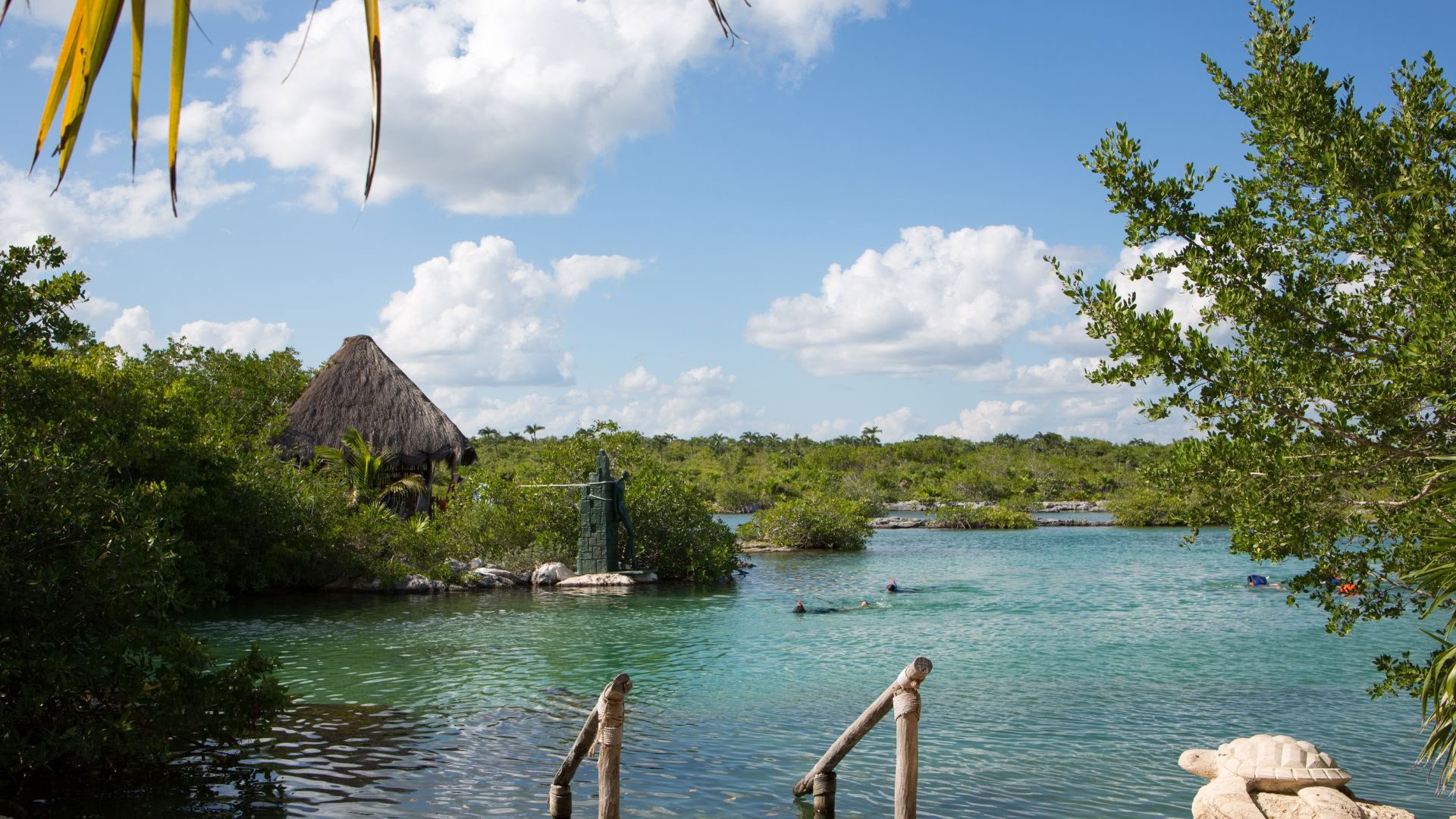 Akumal Wellnessretreat: Suite met uitzicht op de oceaan