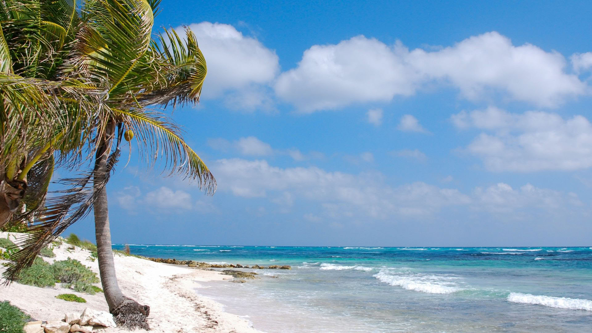 Akumal Wellnessretreat: Eenpersoonskamer met eigen badkamer