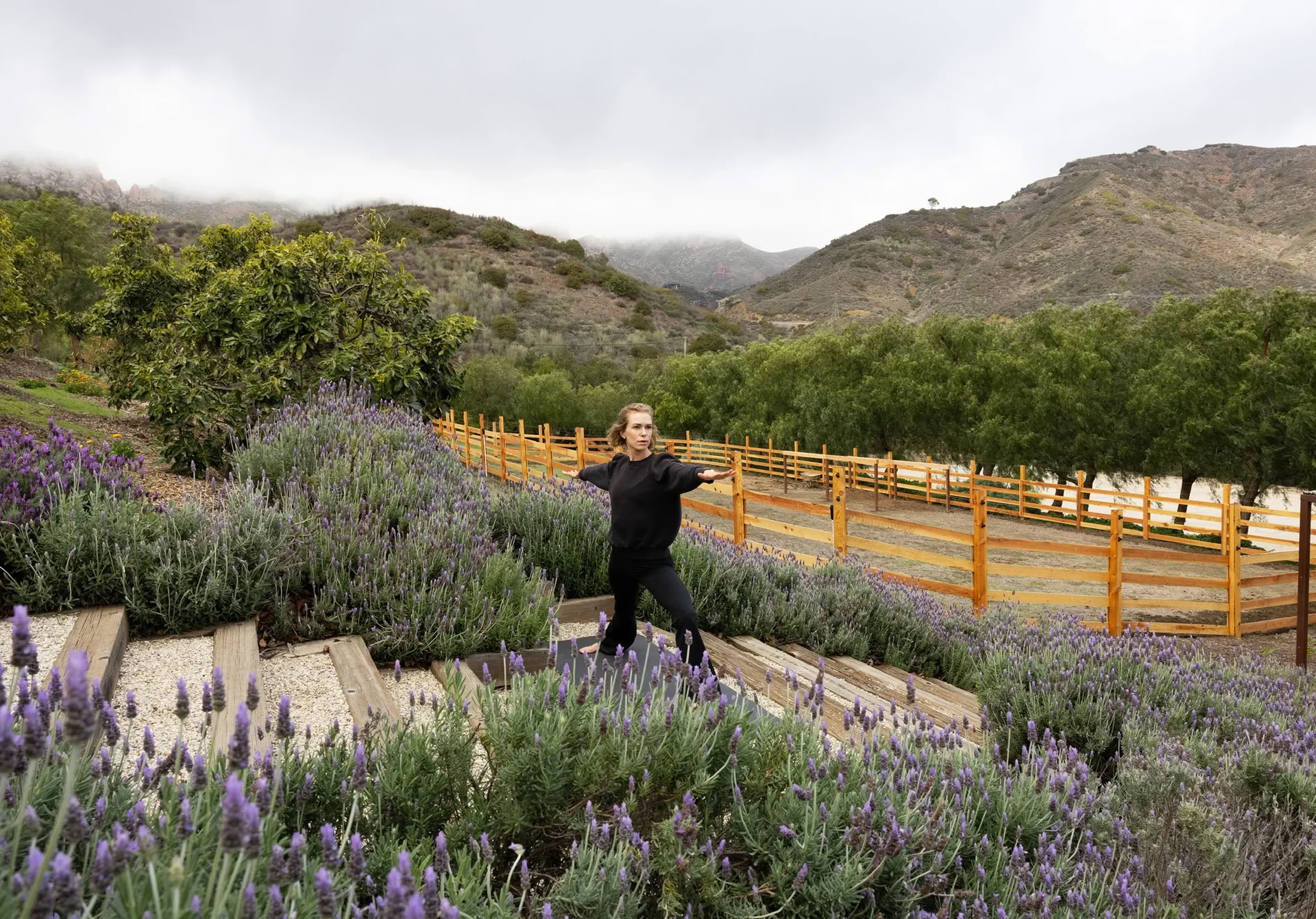 Retraites van 3 en 4 nachten in Malibu