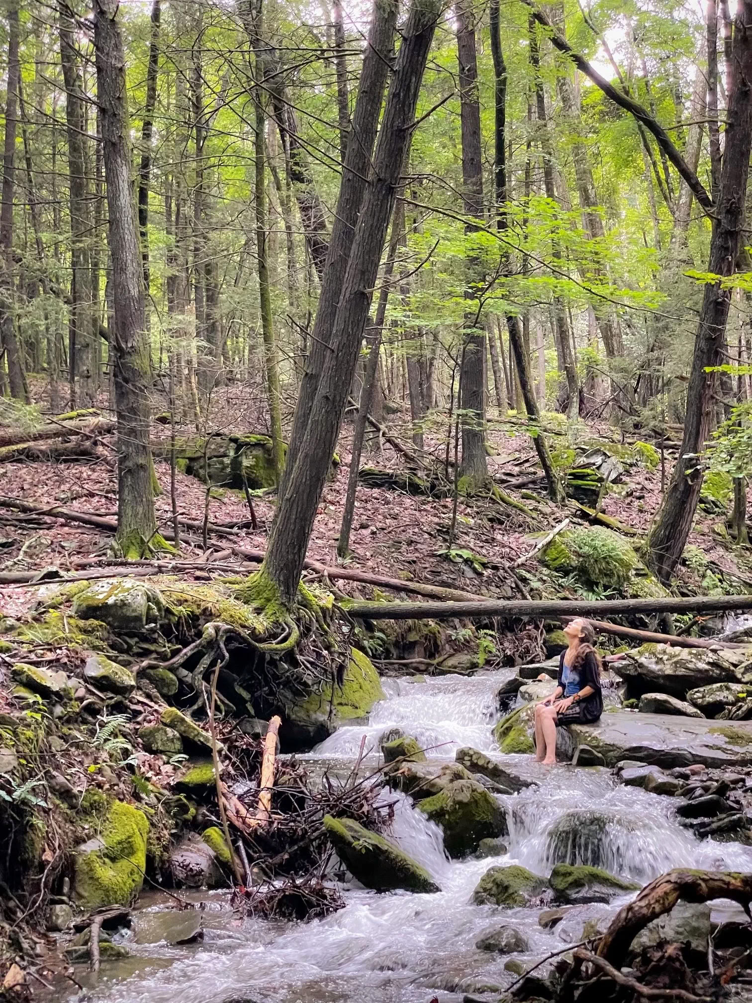 Oogstbijeenkomst bij de N.E.S.T. met de Hudson Valley Psychedelic Society — ESKFF NEST