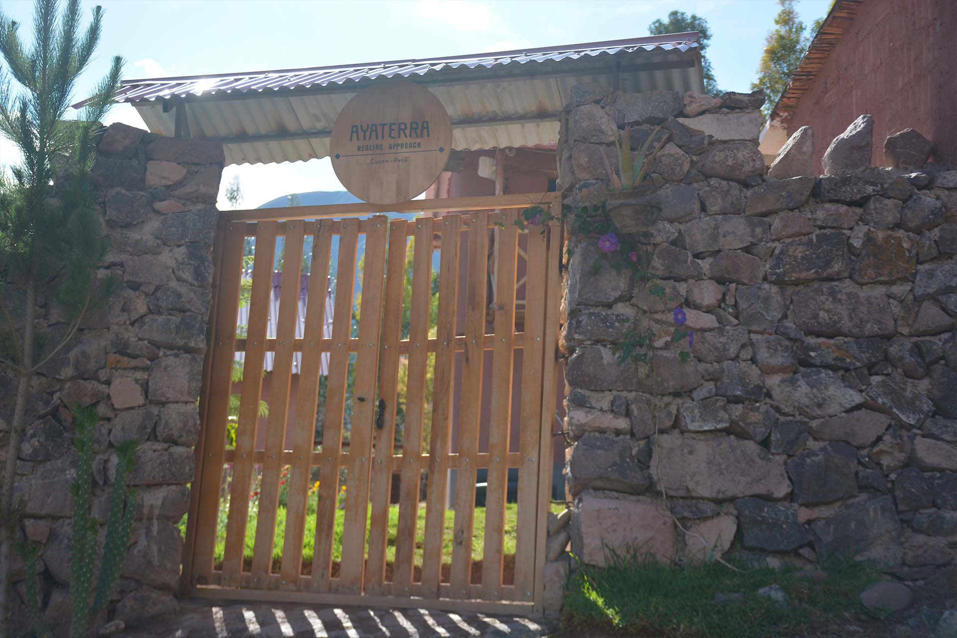 Ayahuasca- en San Pedro-retraite van 3 dagen