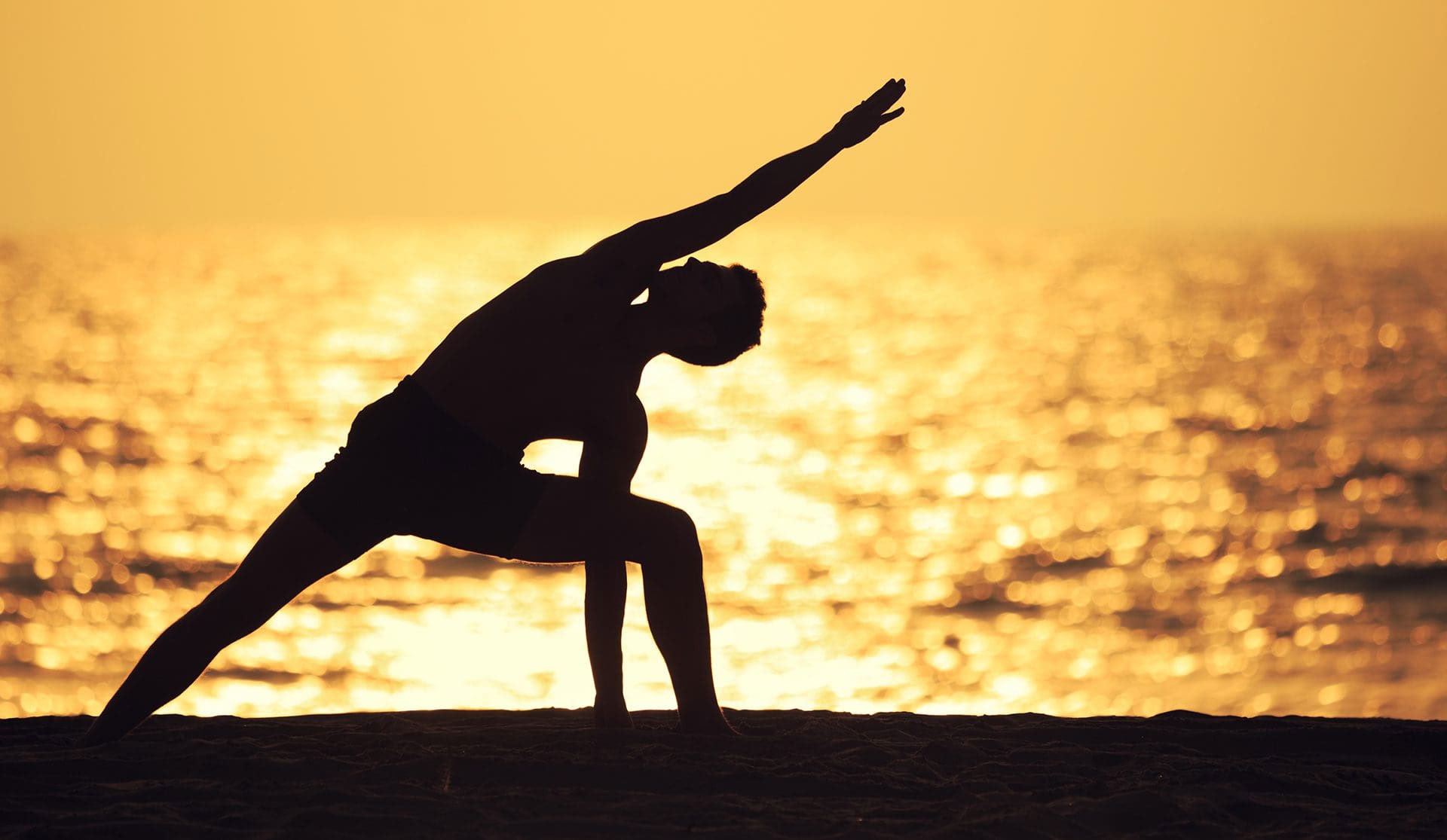 200-uurs Hatha Vinyasa Yoga Docentenopleiding – 31 jan - 25 feb