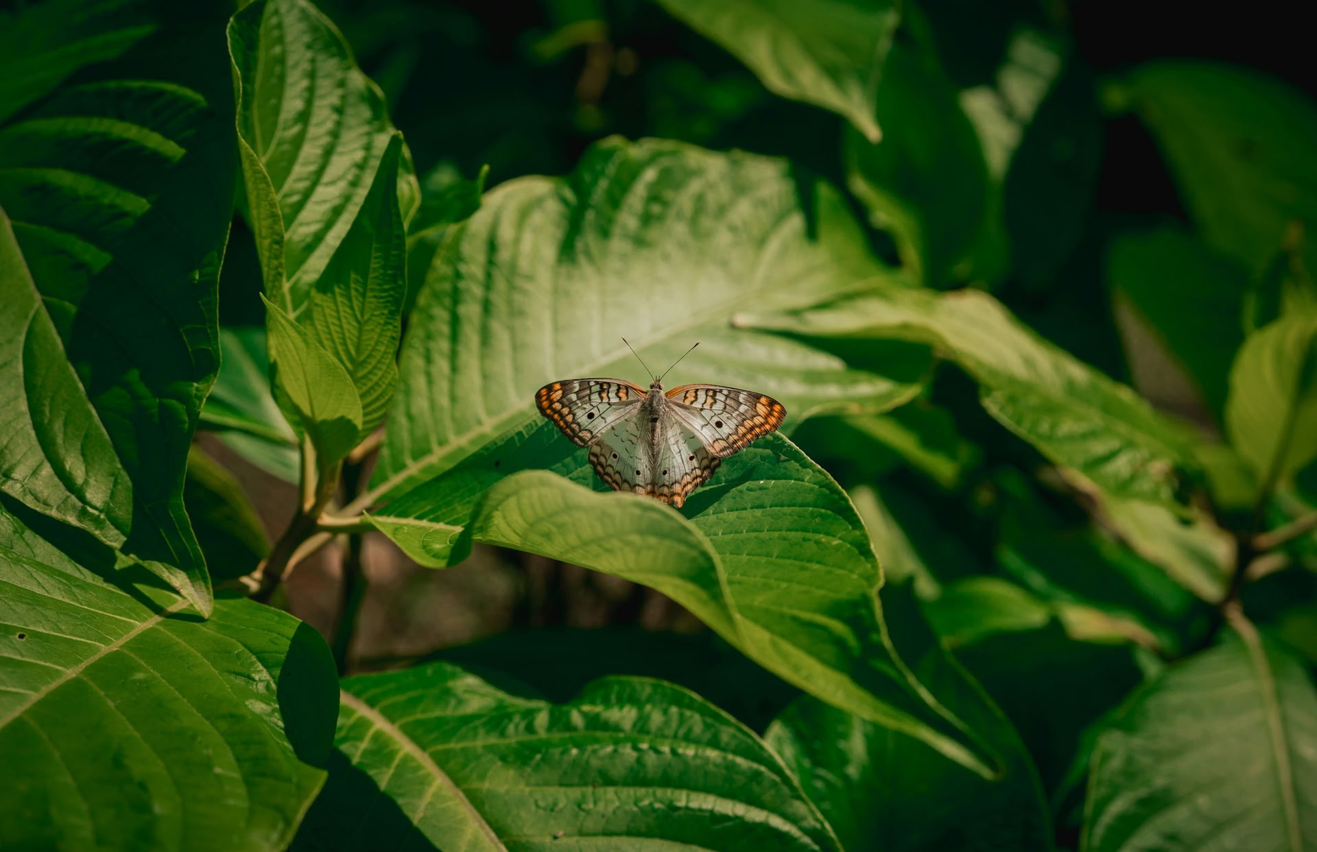 Yoga-retreat in de natuur