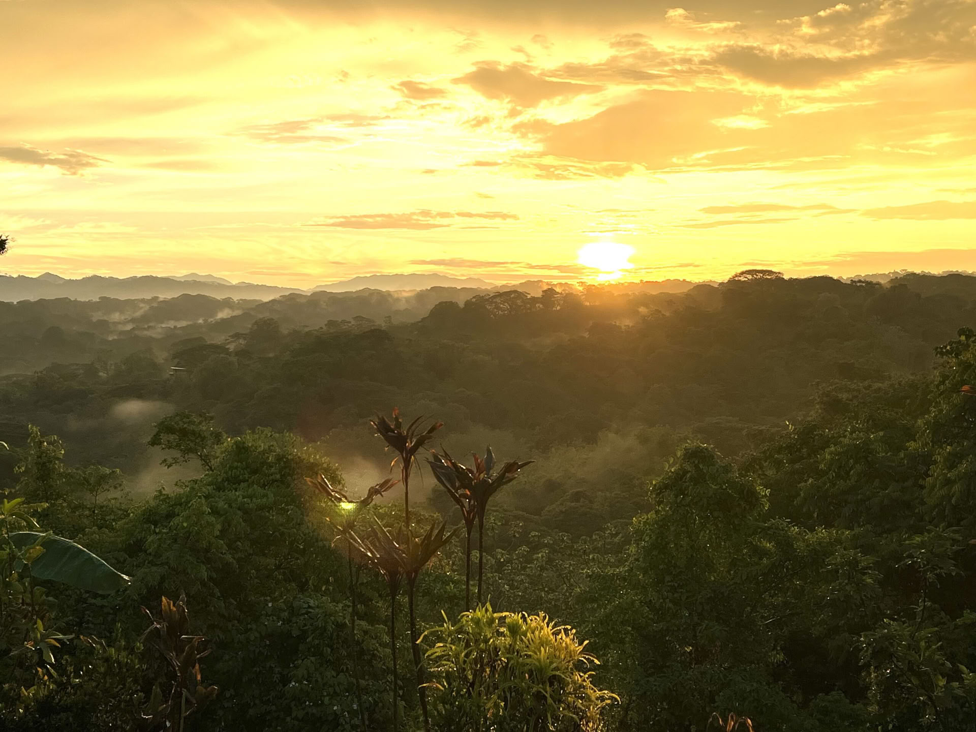 Yoga-retraite in Costa Rica