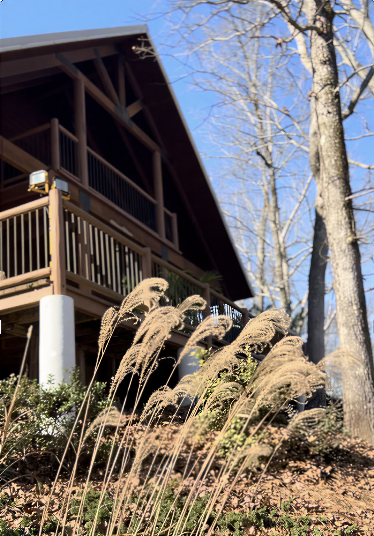 Collectieve wellnesservaring in Paradise Park ATL