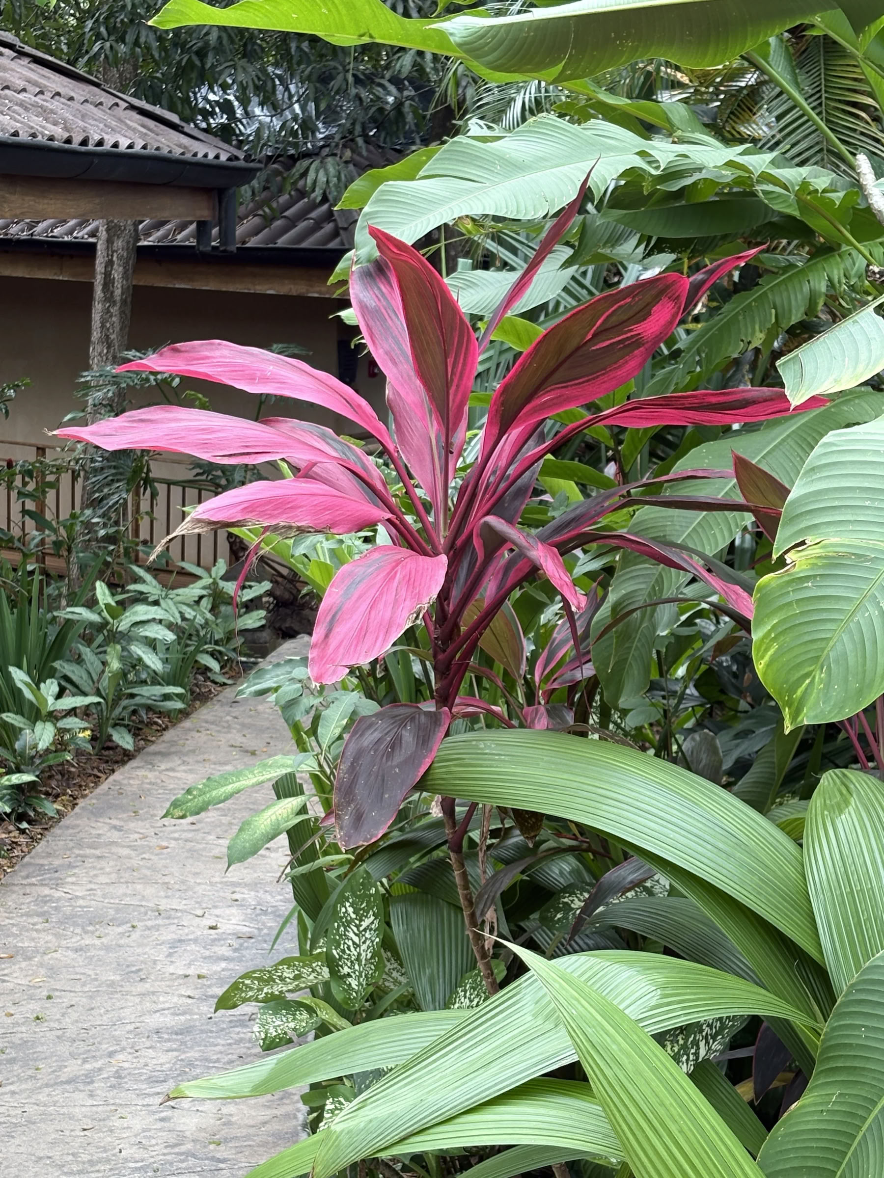 Retraite in Costa Rica januari 2027