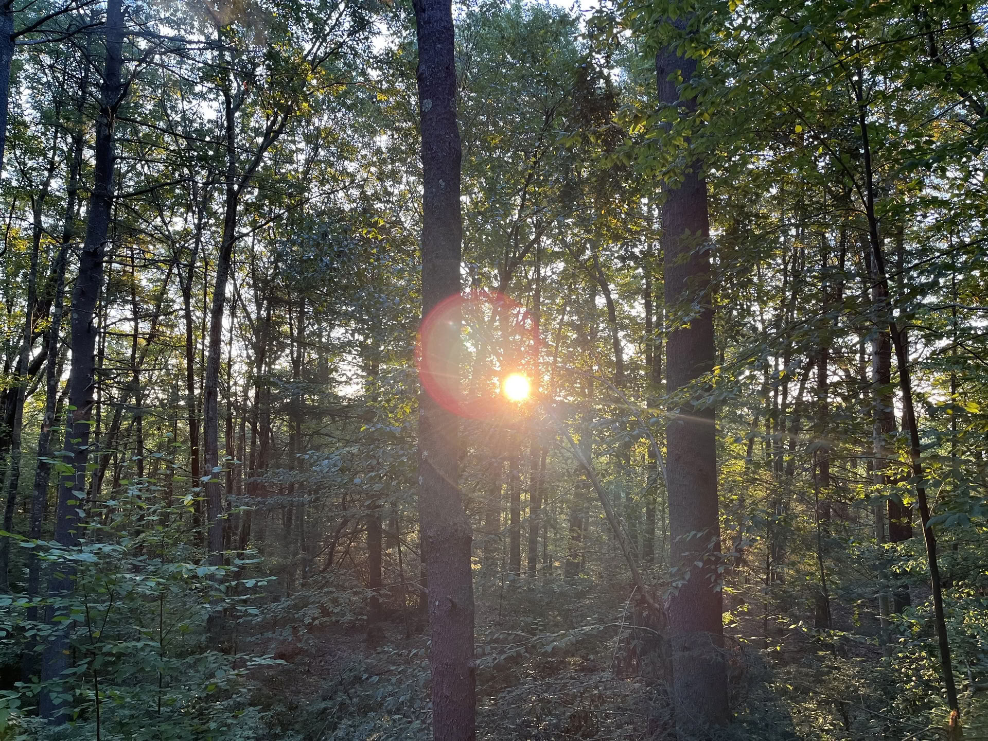 Shraddhā Temenos-retreat