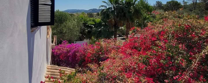Retraite op Mallorca