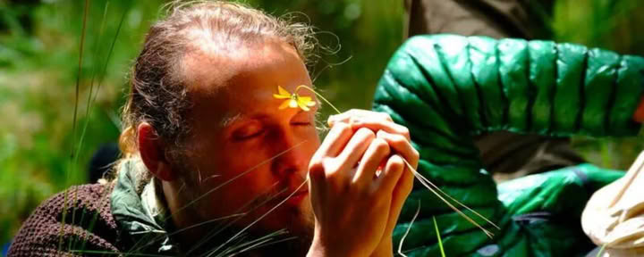 7D AYA-retreat voor diepe spirituele heling