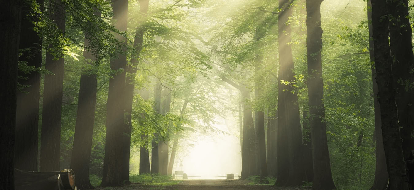 Klankheling-immersion: harmoniseer lichaam, geest en ziel