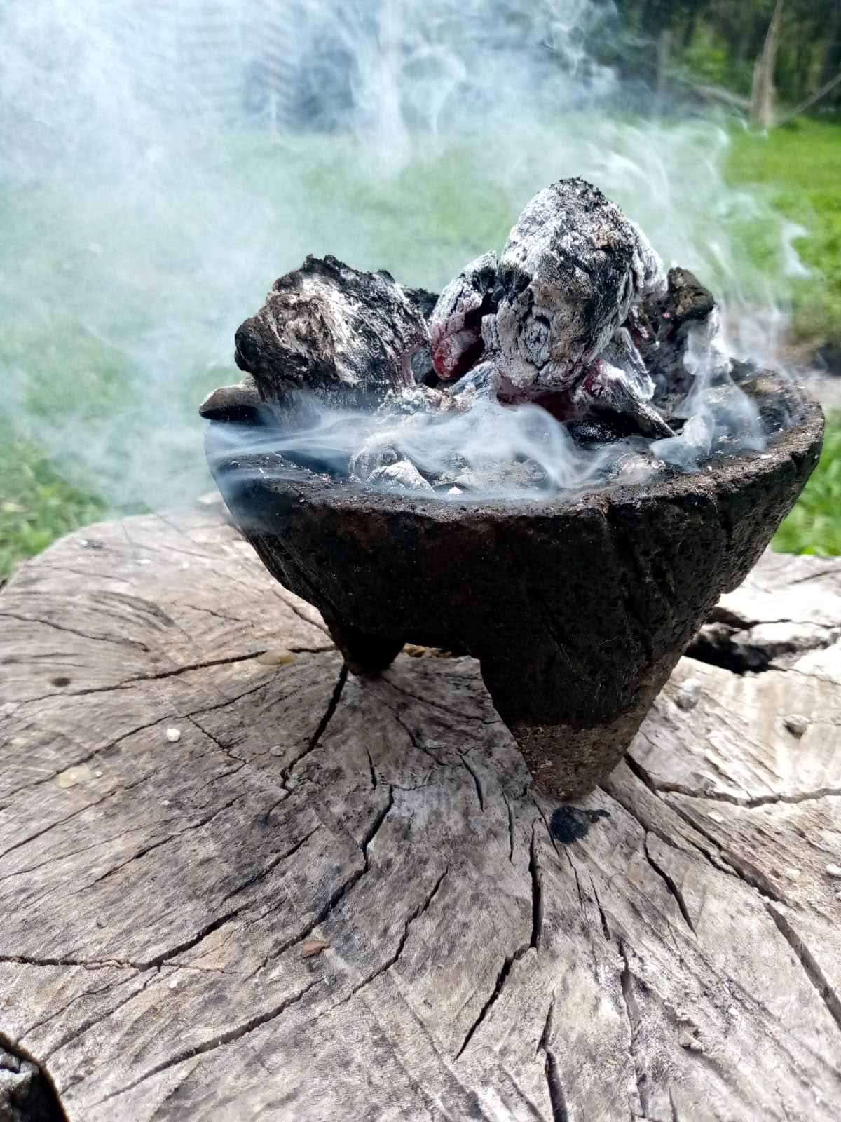 Privé Ayahuasca / San Pedro-ceremonie