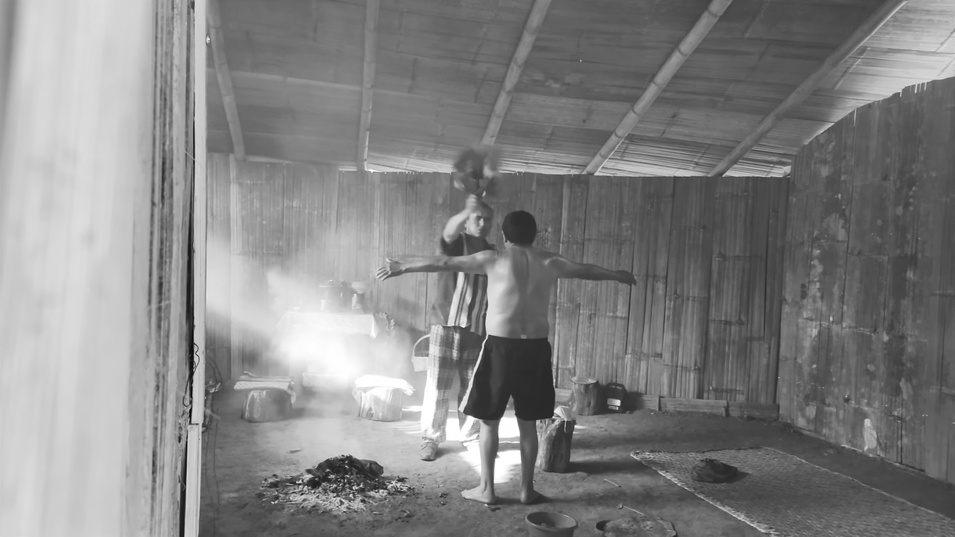 Privé Ayahuasca / San Pedro-ceremonie