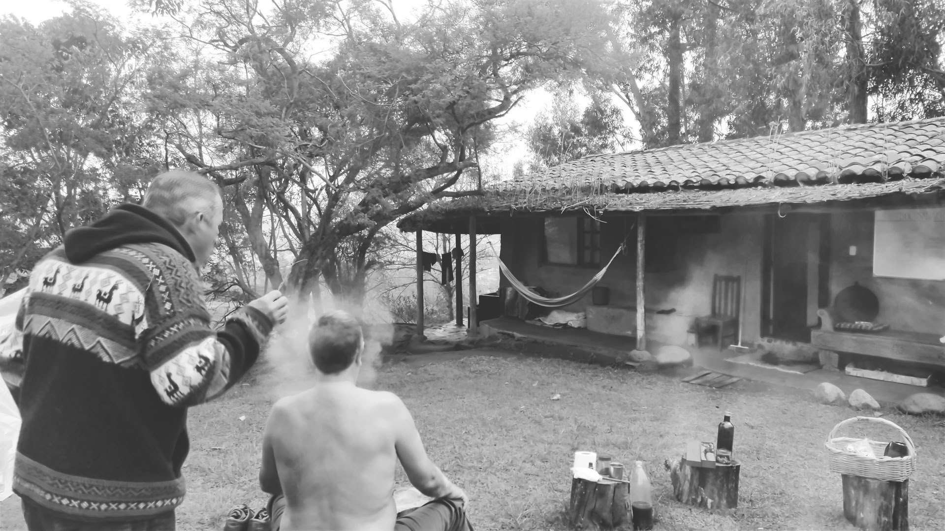 Privé Ayahuasca / San Pedro-ceremonie