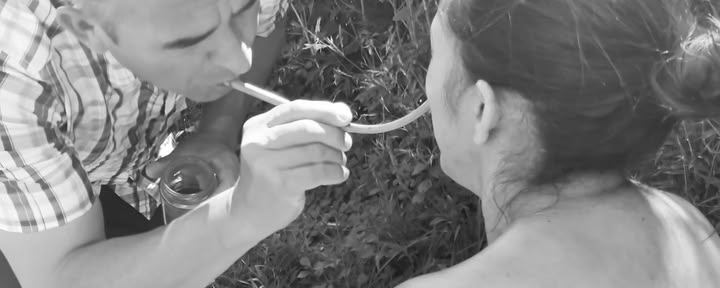 Privé Ayahuasca / San Pedro-ceremonie