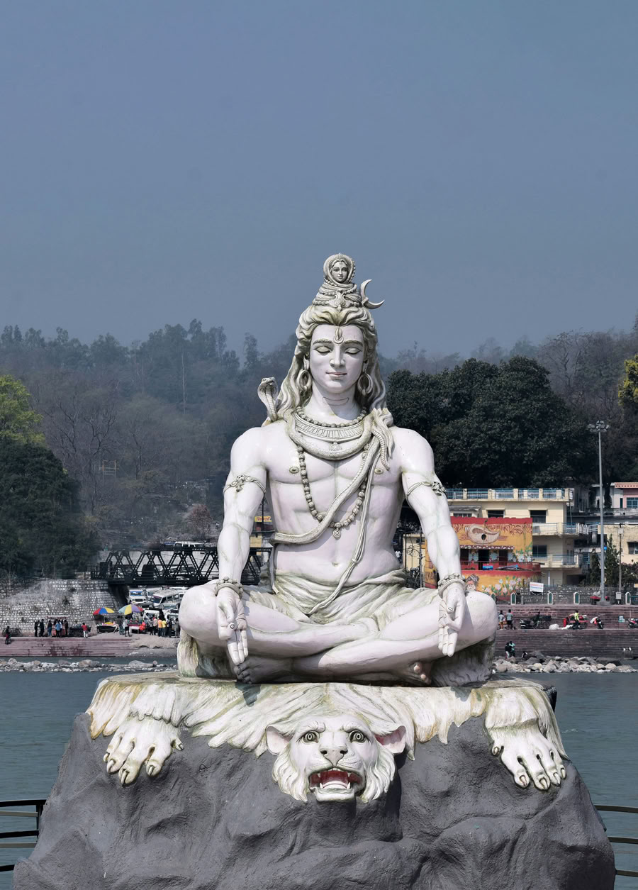 200-uurs Hatha Vinyasa yogadocentenopleiding