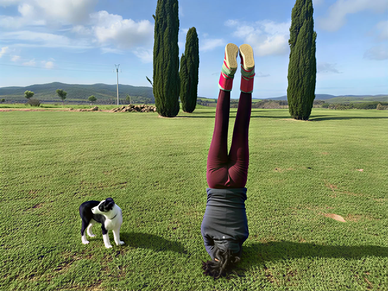5 dagen yoga en e-bike-excursies tussen de zee en het platteland