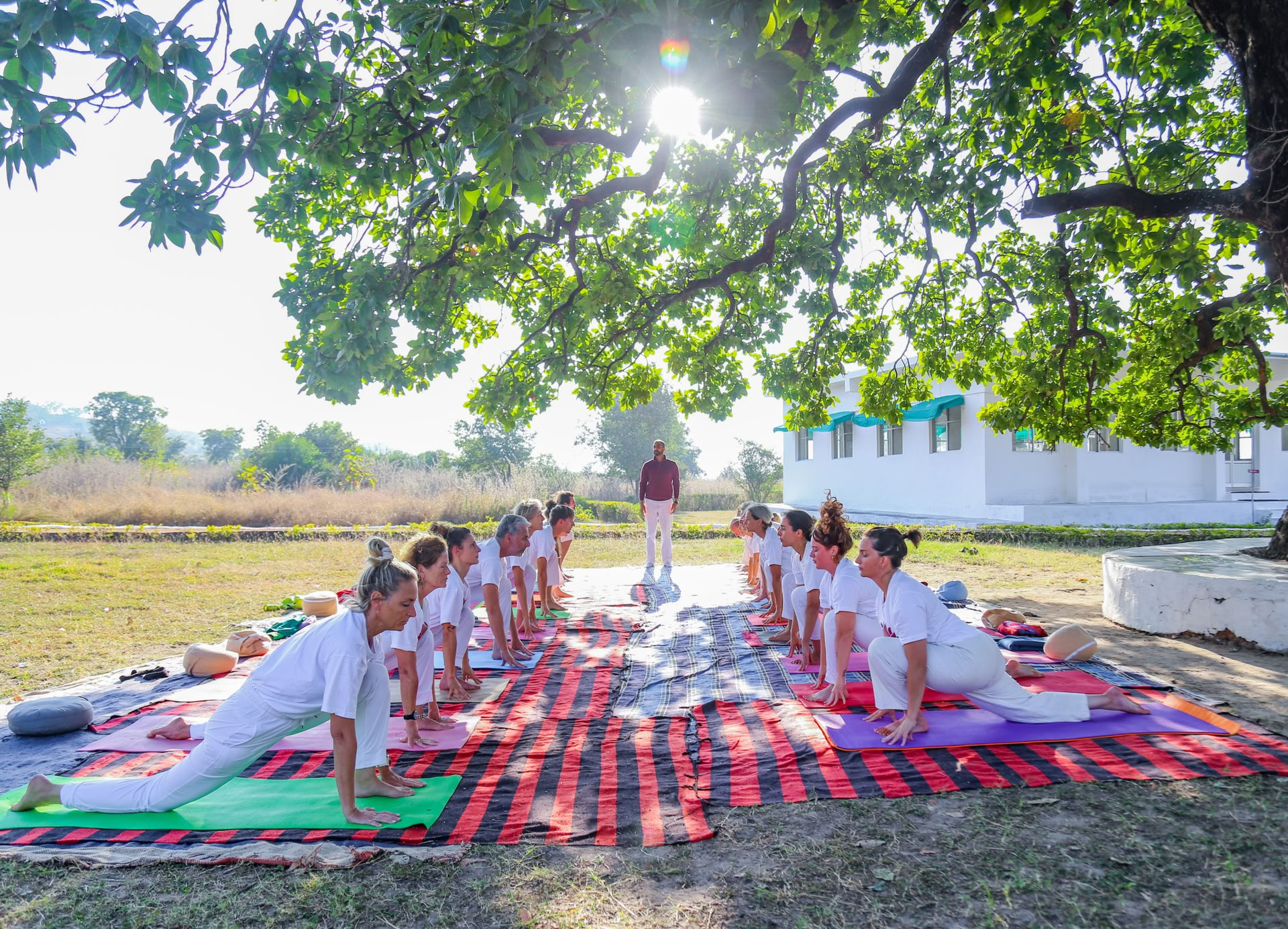 Leg een stevige basis: 200-urige yogacertificering in India 2026