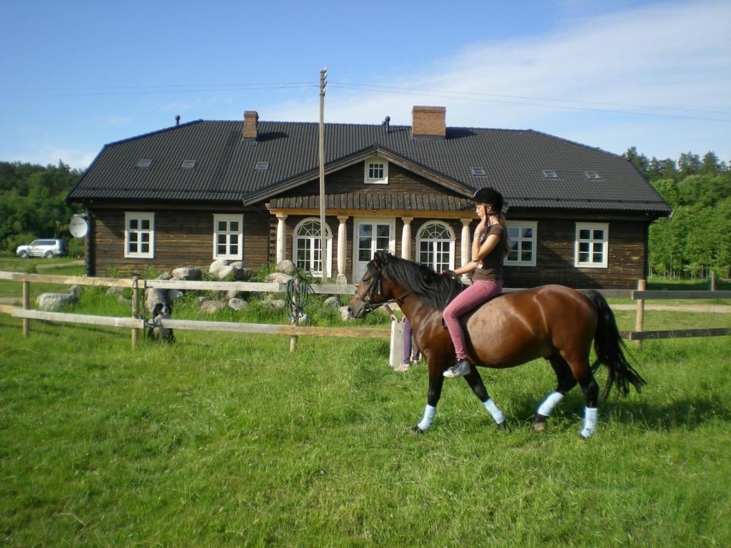 Oude Mayflower