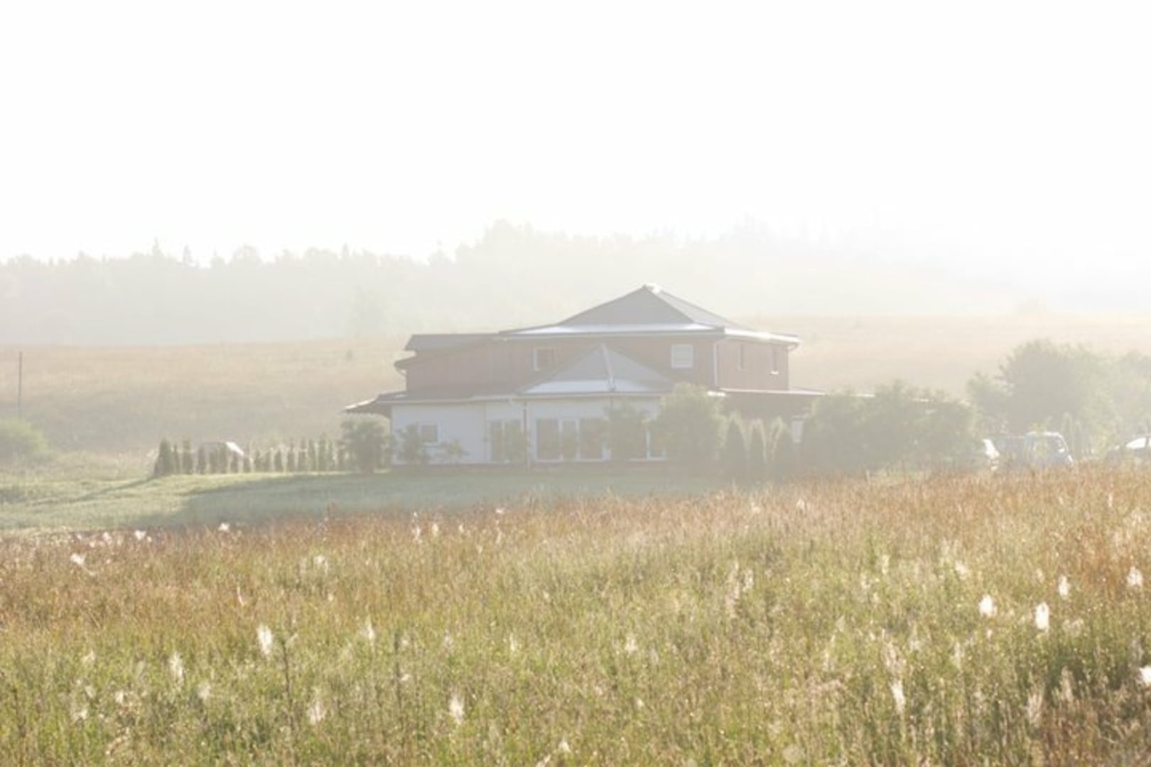 Hoeve Žuvyčiai
