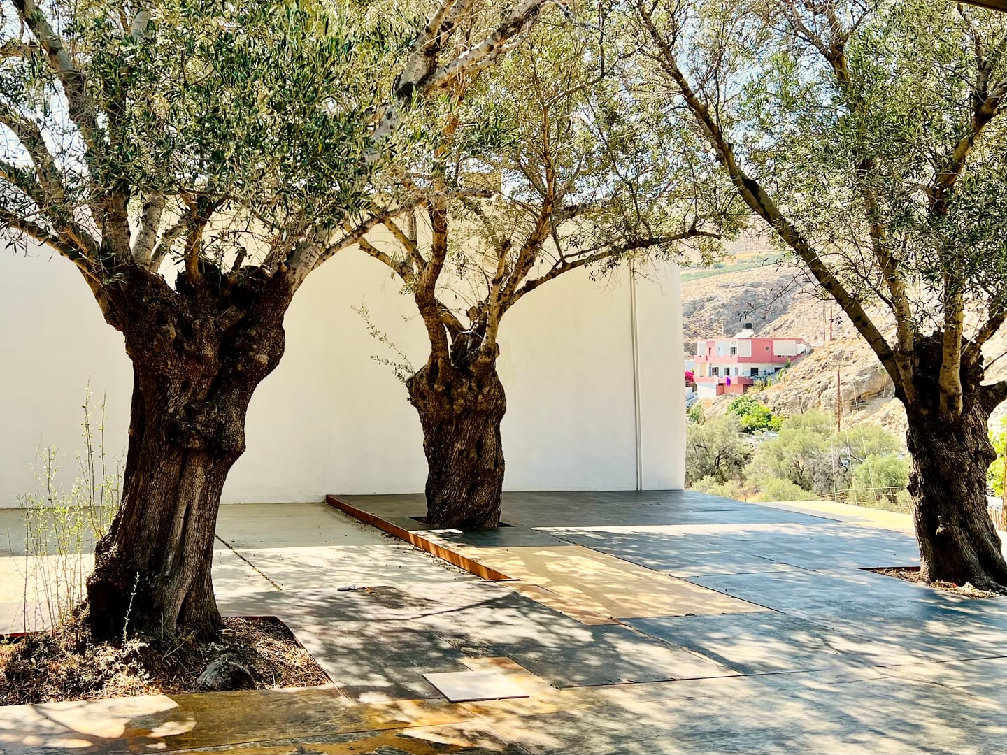 Yoga op Kreta